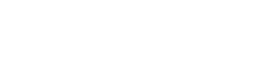 Pilot